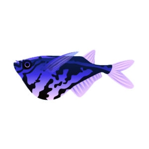 Zaffre Marble Hatchback Fish